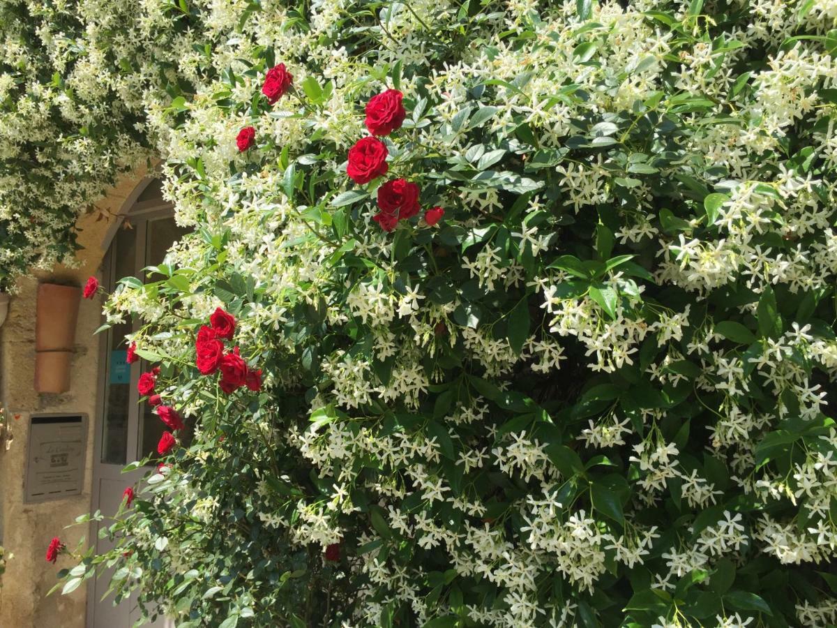 Guest house La Cordiere Lourmarin